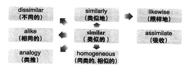 20196´W(xu)ӢZ(j)~RDӛsimilar