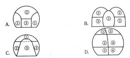 2020·̡c(din)(x)}2B314000