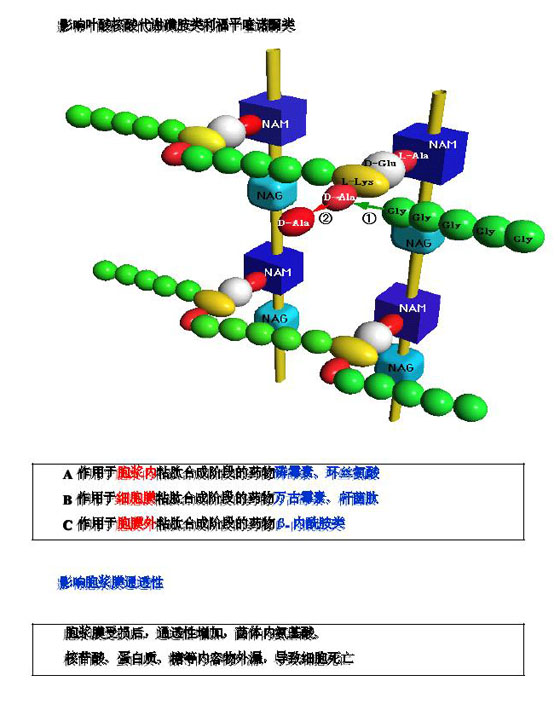 2010(zh)I(y)ˎԇˎW(xu)I(y)֪R(sh)(һ)(f)(x)Ҫc(din)(32)