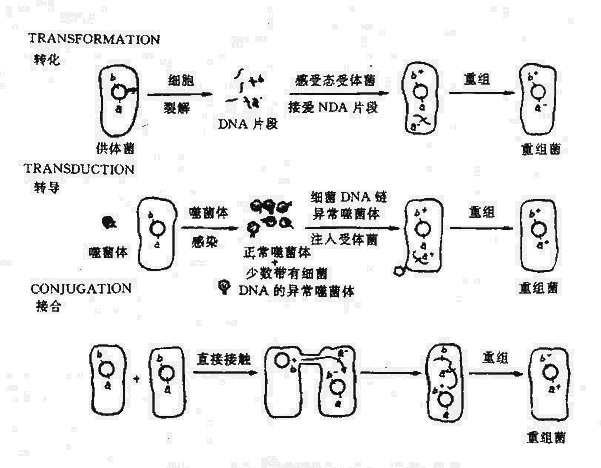 (x)gĻD(zhun)D(zhun)D(zhun)(do)Ӻ