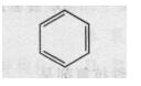 2018(zh)I(y)ˎˎW(xu)I(y)֪R(sh)һ(qing)(x)}(6)