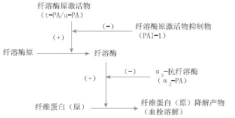 2021R(zh)I(y)t(y)ԇW(xu)(f)(x)֪R(sh)c(din)(6)