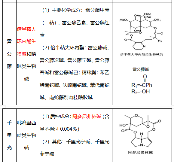 2021(zh)I(y)ˎˎһˎWcA