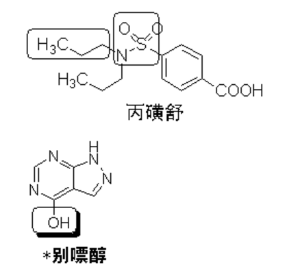 2021(zh)I(y)ˎˎһcʹLˎY(ji)(gu)c