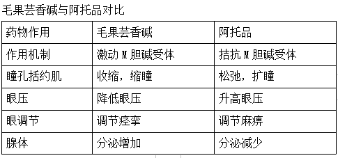 2022깫l(wi)ҹt(y)ˎW(xu)vlc(din)