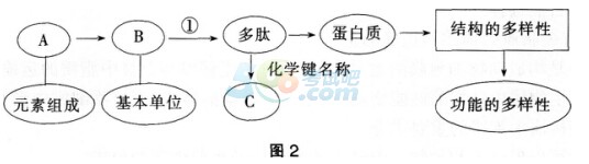 2016°̎YCԇԇ}塪W(xu)֪R(sh)čW(xu)(߼(j)ЌW(xu))